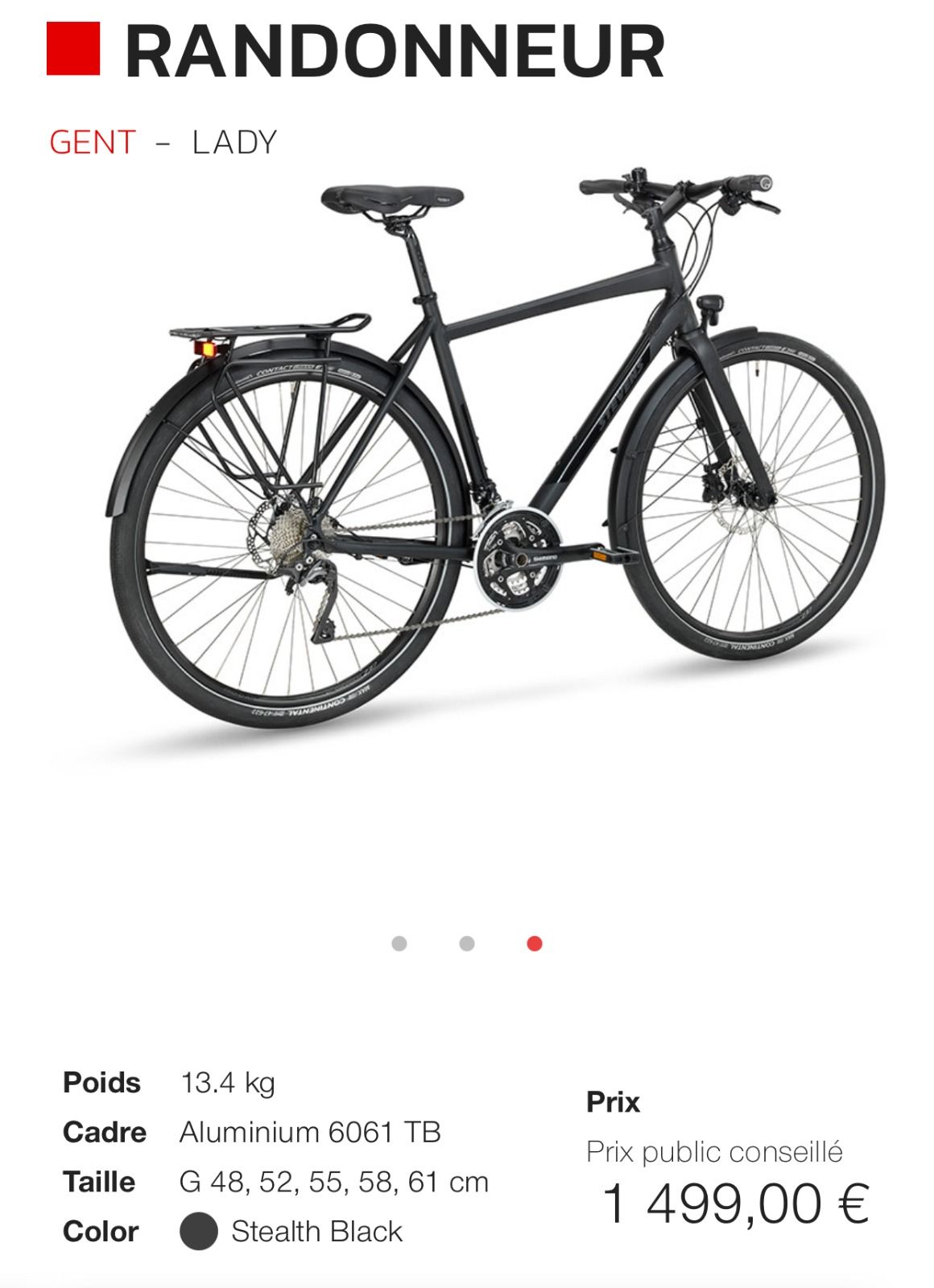 Stevens Randonneur 8588817 номер