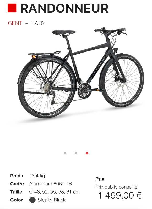 Stevens Randonneur 8588817 номер