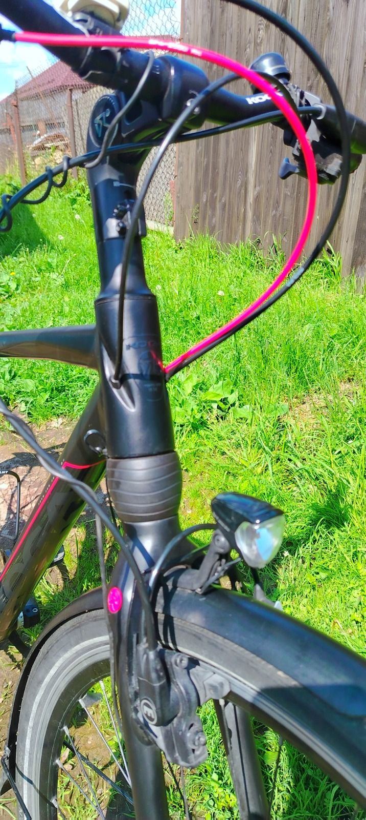 Koga F3