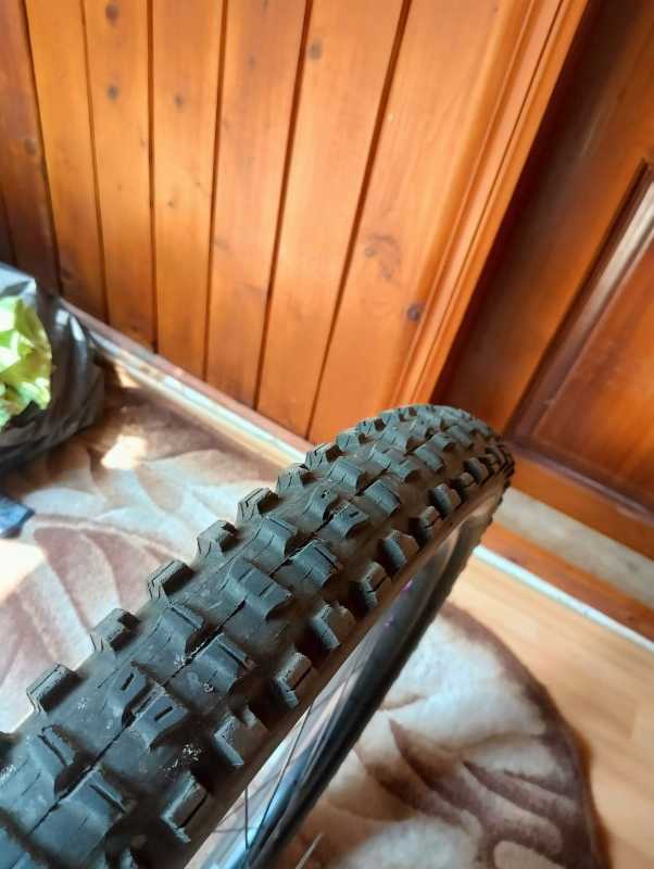 Maxxis ASSEGAI, MINION