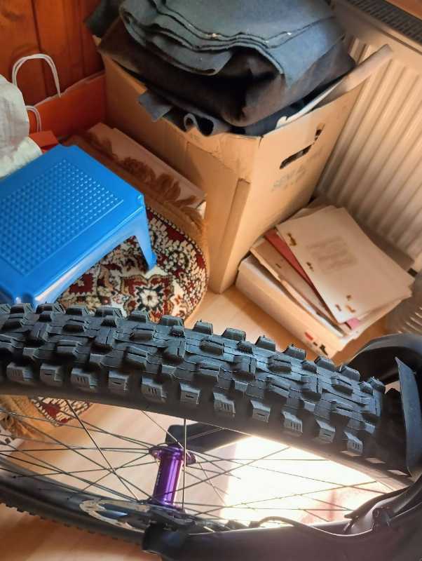 Maxxis ASSEGAI, MINION