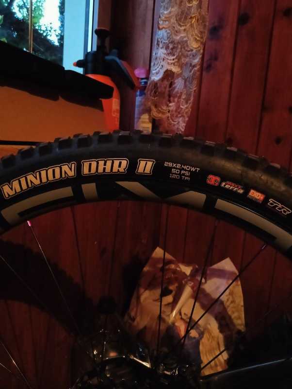 Maxxis ASSEGAI, MINION