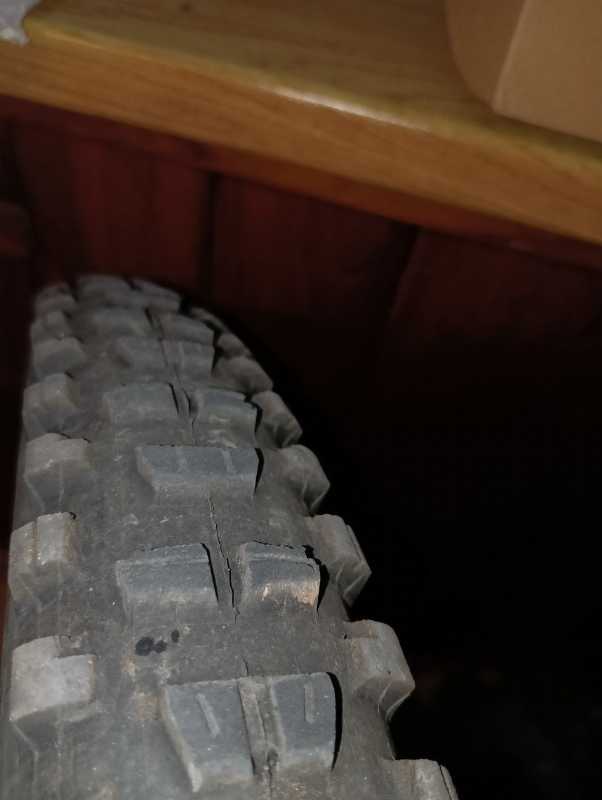 Maxxis ASSEGAI, MINION