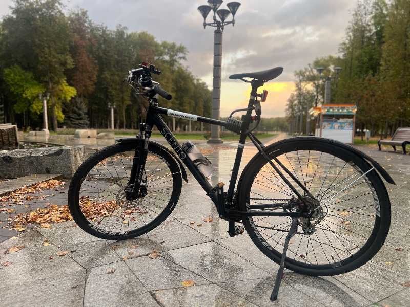 Silverback scento path HD L/XL