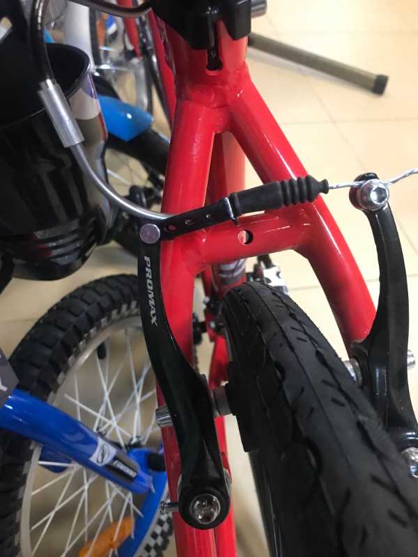 UNIVEGA MAXIMA FIT 1.0