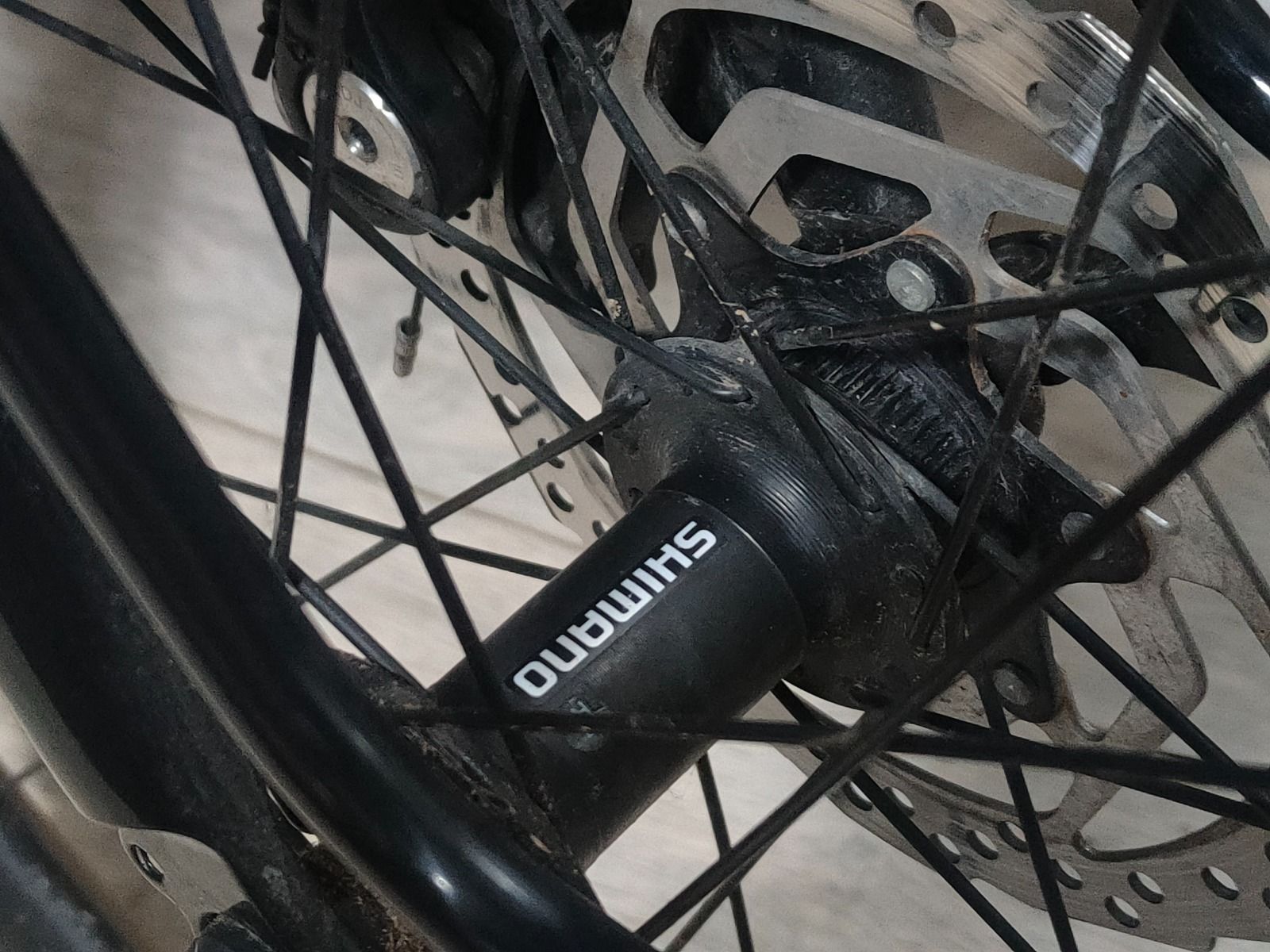Гравел Forward Inpulse X 2024