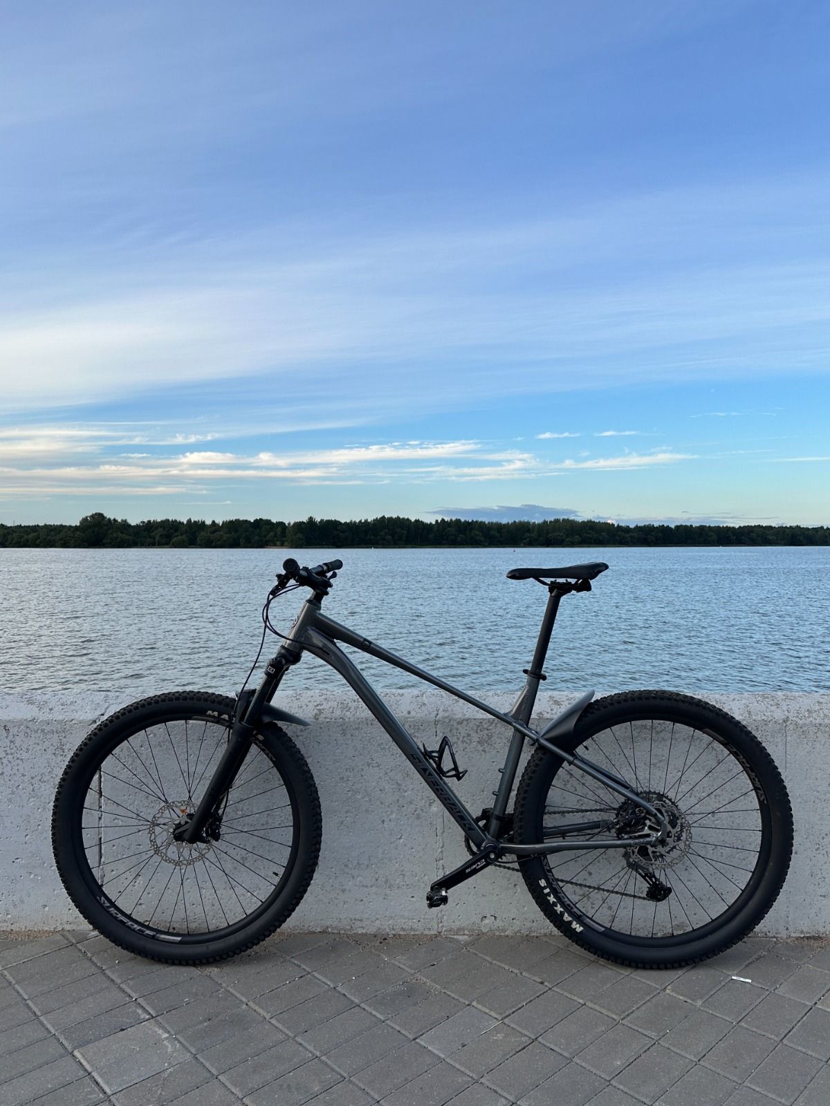 SILVERBACK SE:SERIES 10 29 (2025)