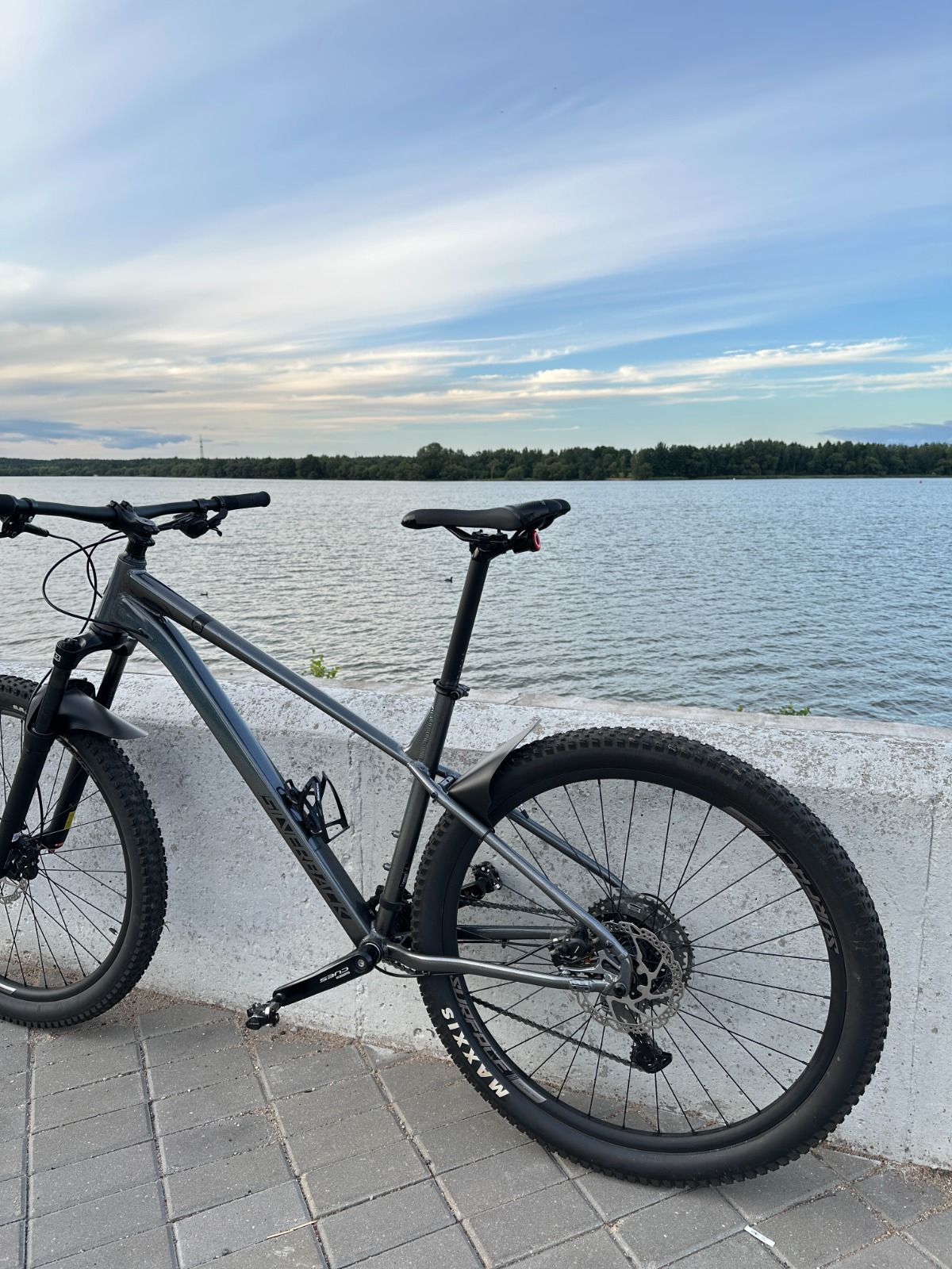 SILVERBACK SE:SERIES 10 29 (2025)