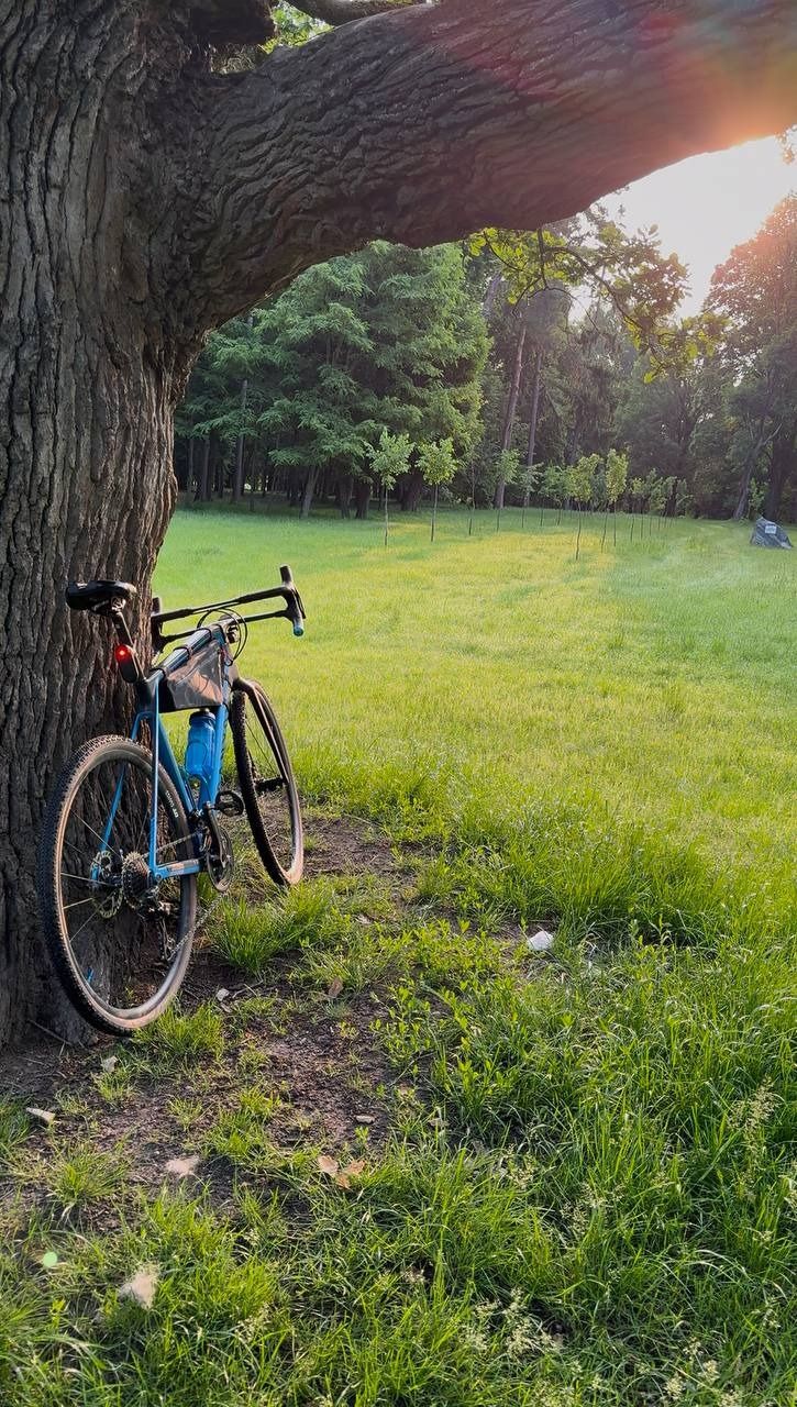 Canyon Grizl CF SL