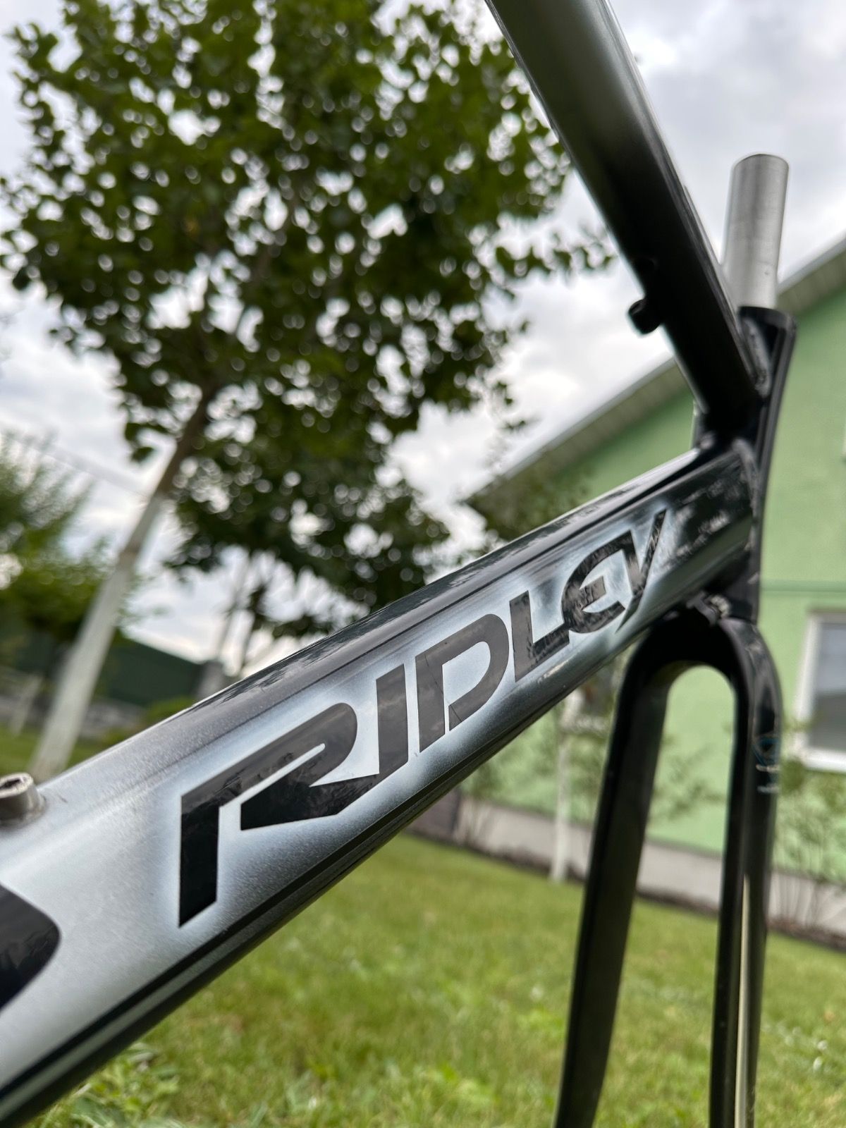 Фреймсет Ridley Icarus