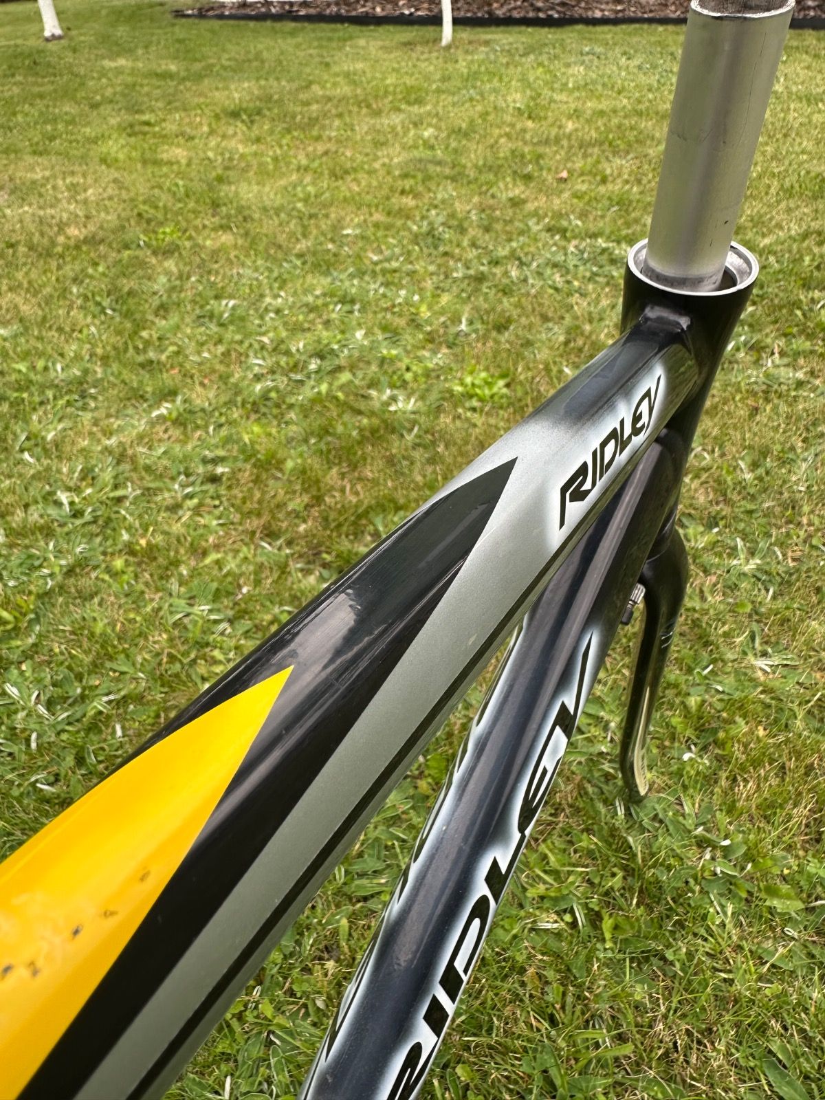 Фреймсет Ridley Icarus