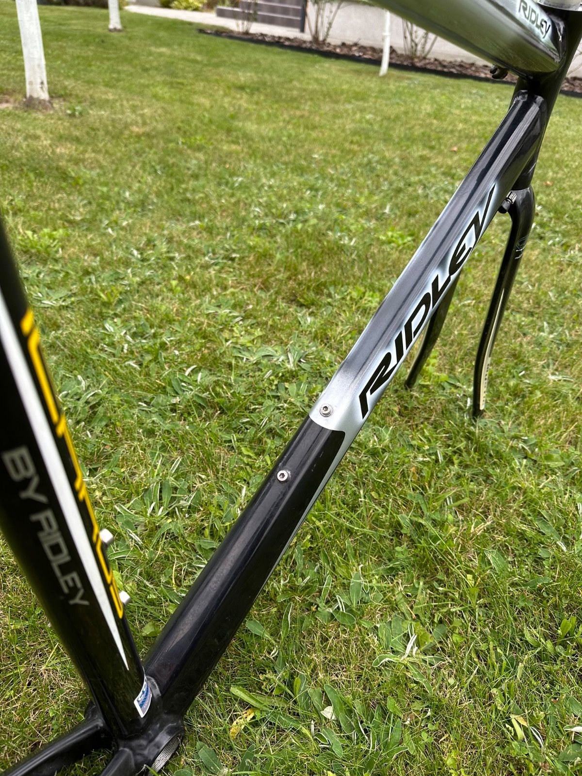 Фреймсет Ridley Icarus