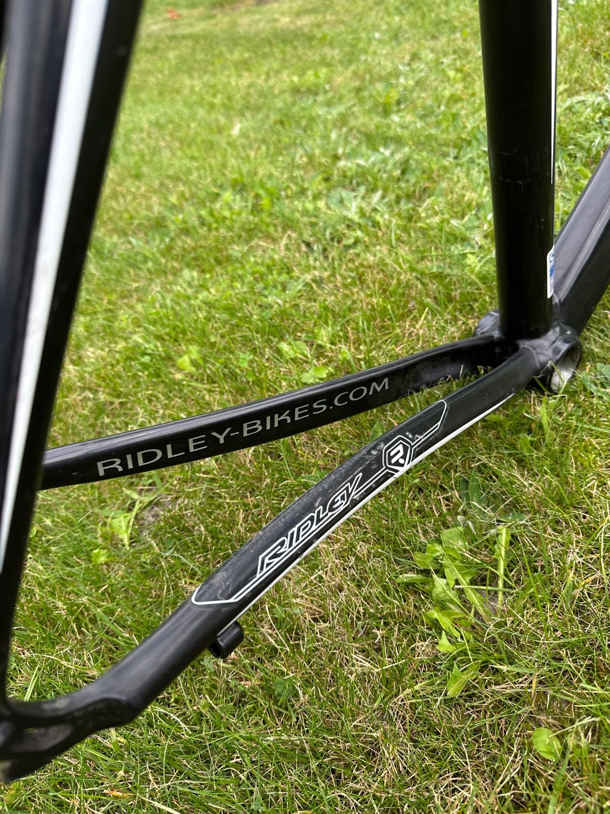 Фреймсет Ridley Icarus
