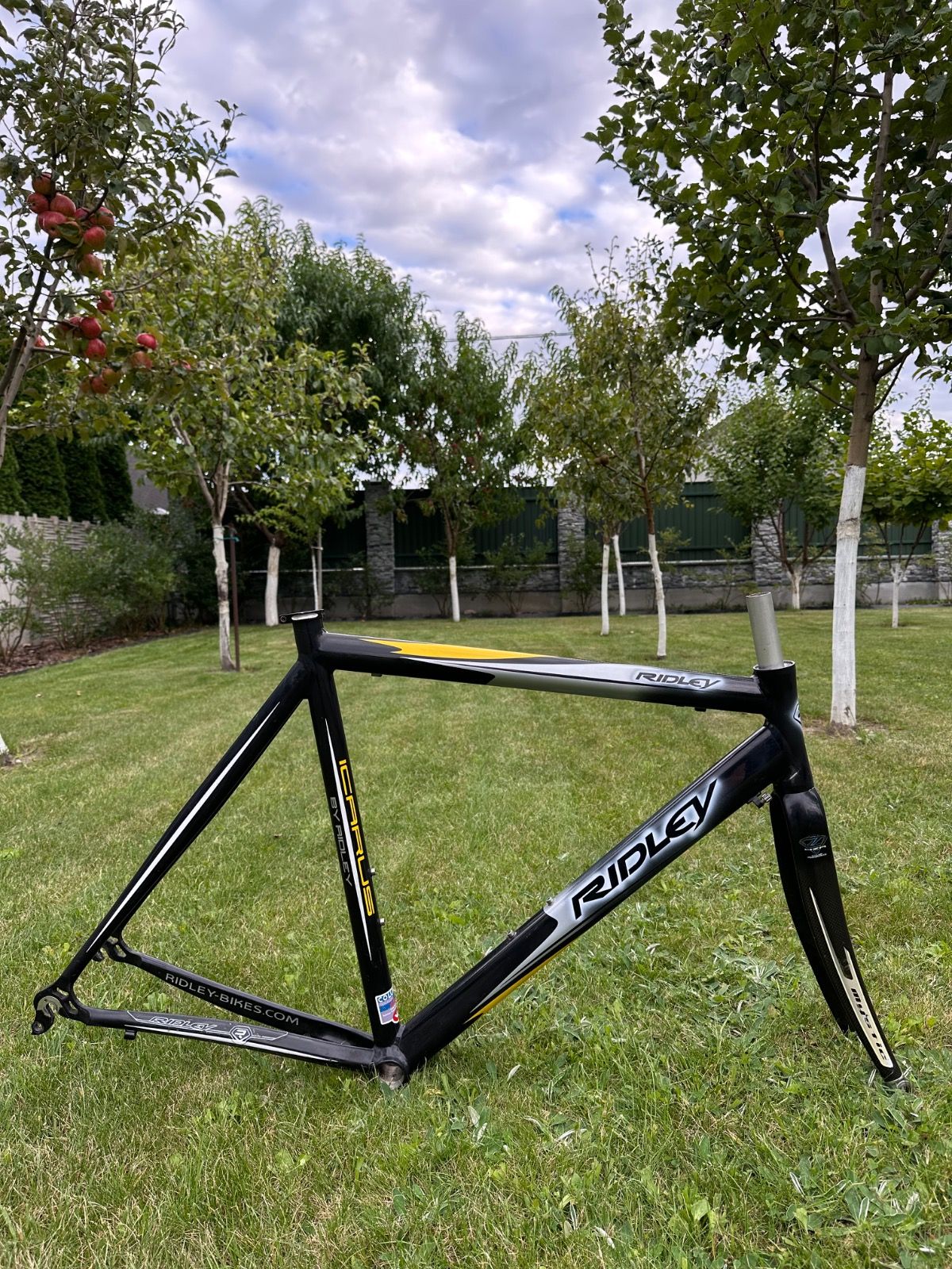 Фреймсет Ridley Icarus