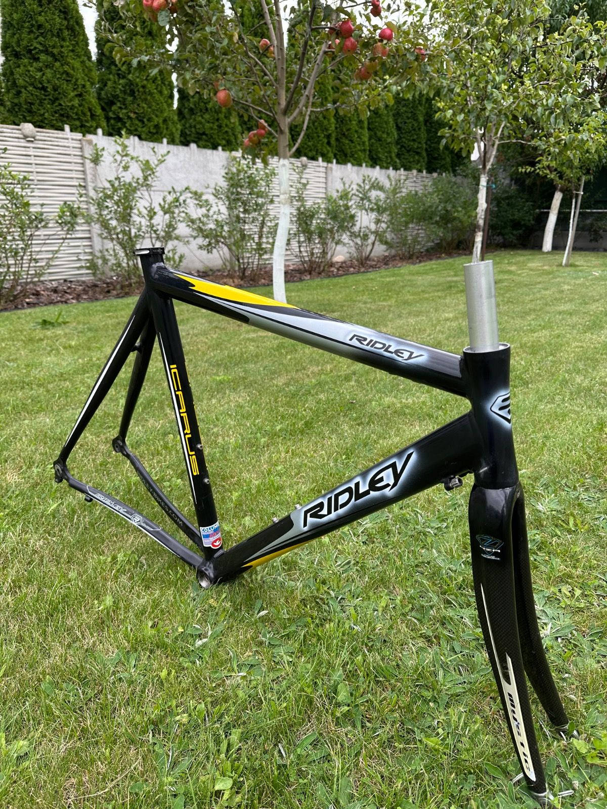 Фреймсет Ridley Icarus