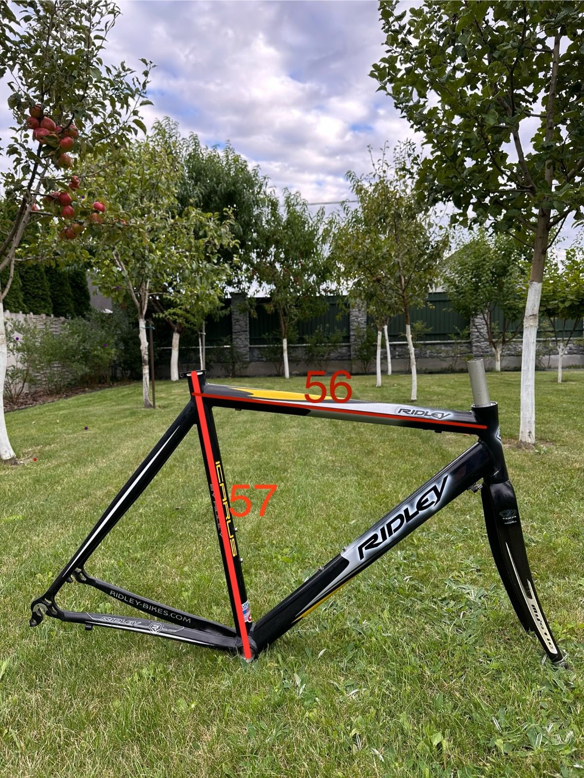 Фреймсет Ridley Icarus