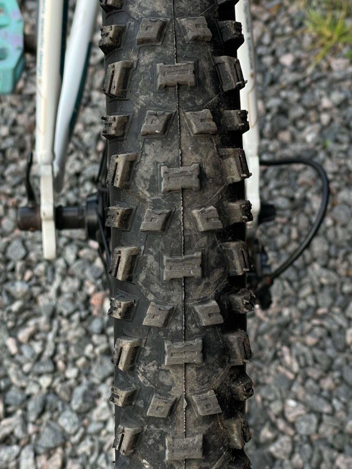 Trek Sky на Roch Shox