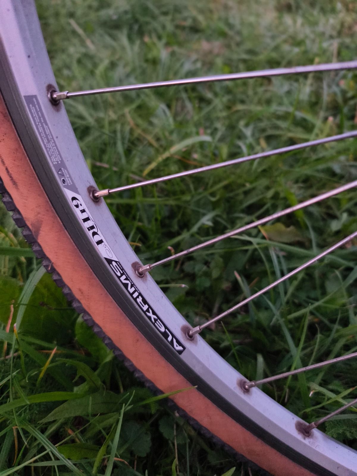 Dawes Synthesis Reynolds 501