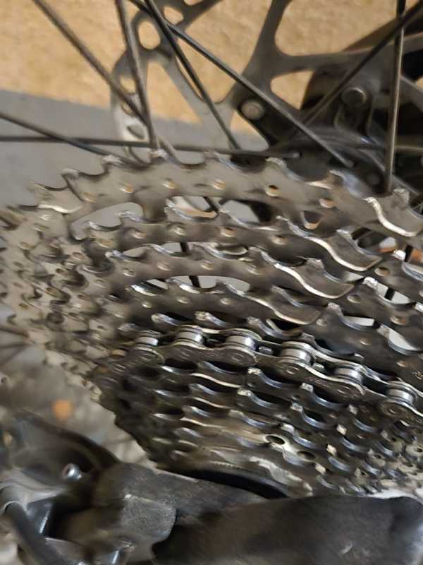 Orbea Occam AM H50  27.5 2019