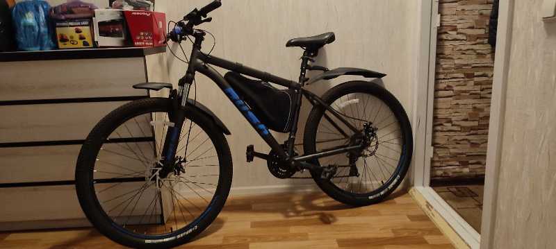 алексанлдр шнып