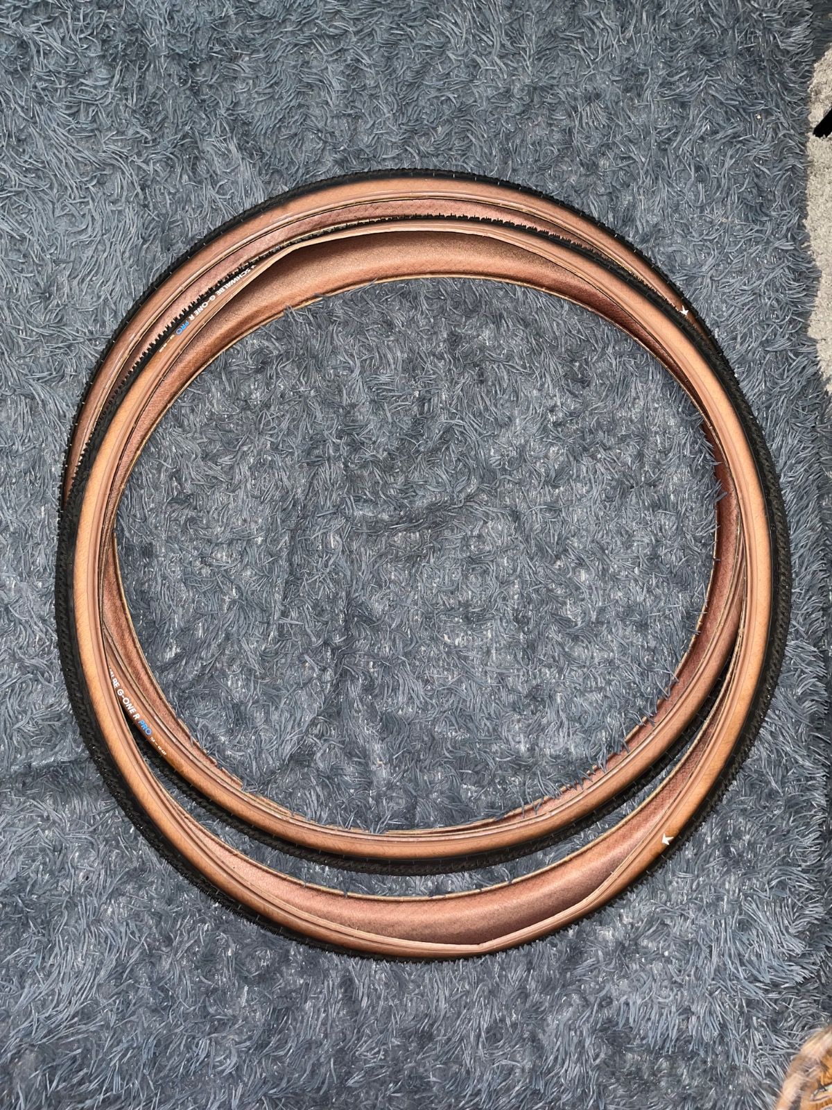 Покрышки Schwalbe G-One R Pro Folding Tire