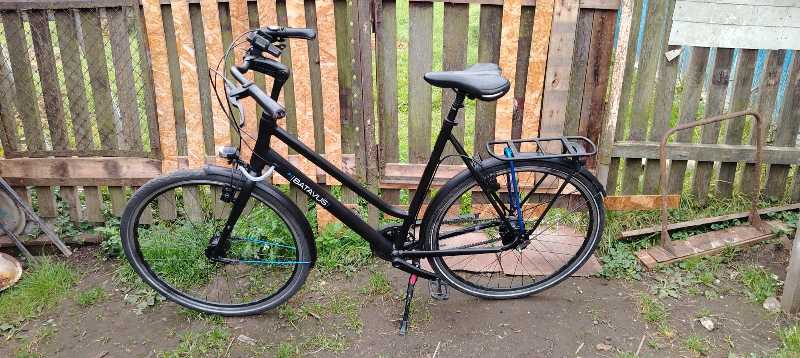 Batavus Dinsdag (Alfine 8)