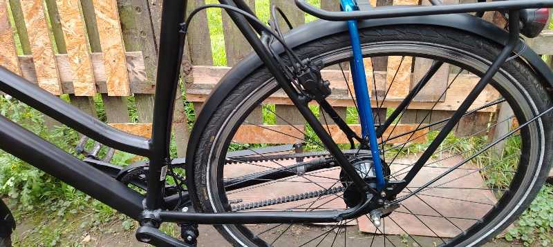 Batavus Dinsdag (Alfine 8)