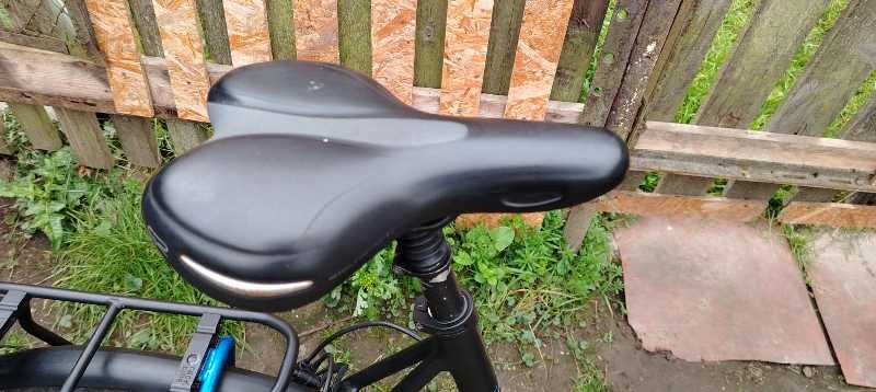 Batavus Dinsdag (Alfine 8)