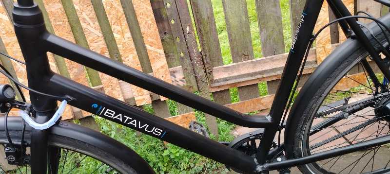 Batavus Dinsdag (Alfine 8)