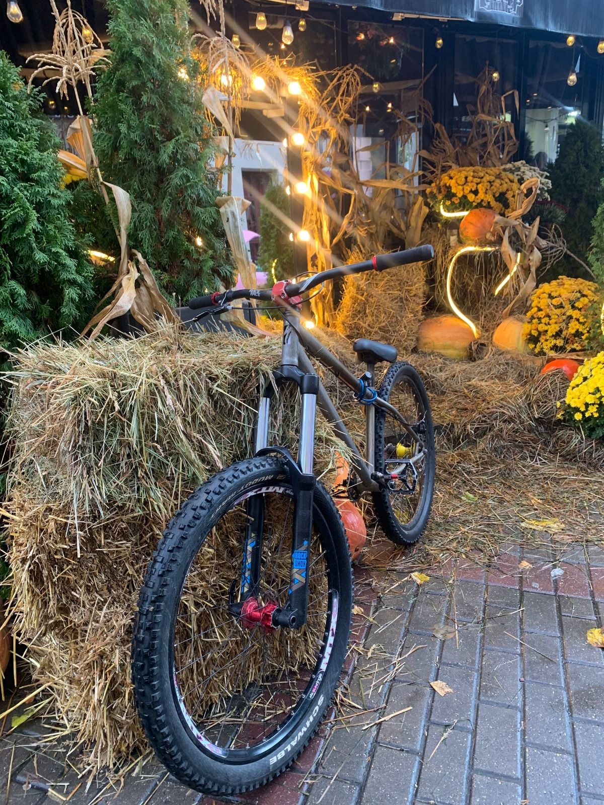дерт specialized p 26