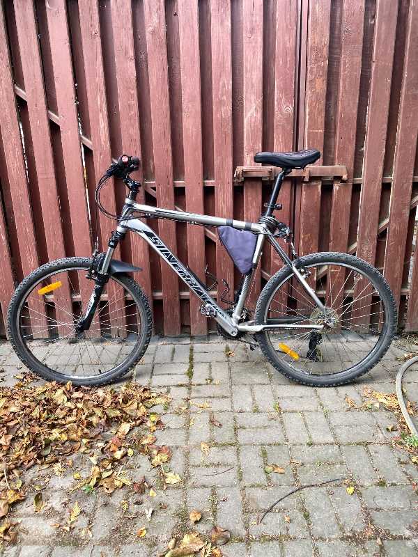 Велосипед Silverback Stride 20 XL