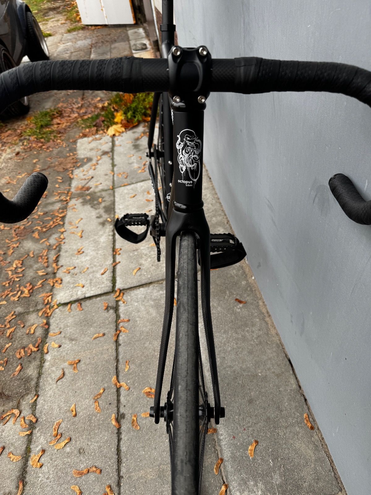 Фикс на раме octupus