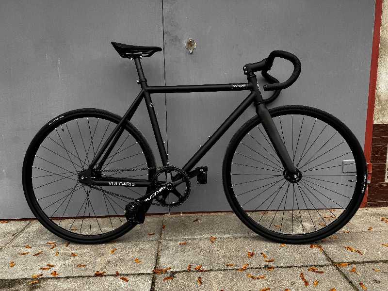 Фикс на раме octupus