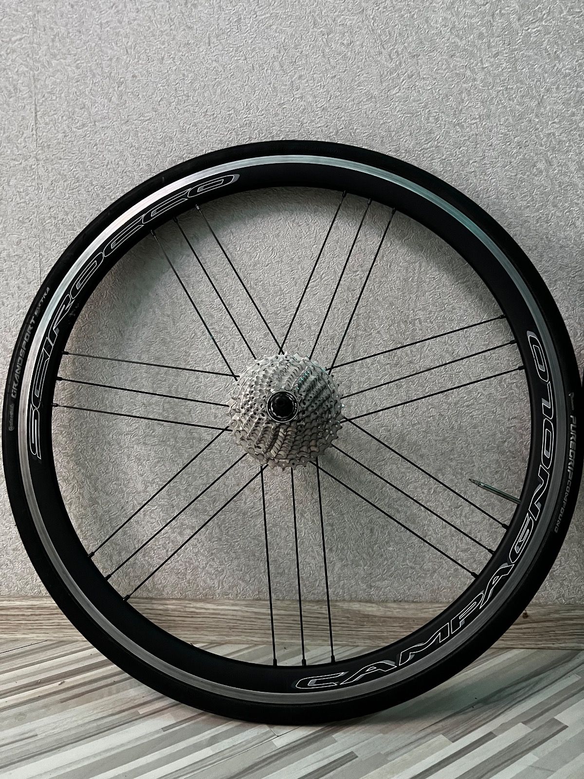 Вилсет compagnolo scirocco