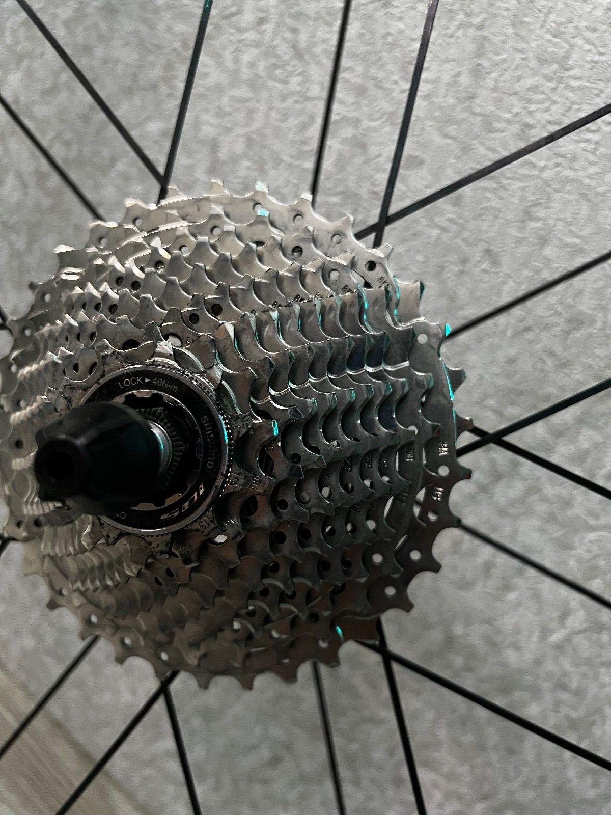 Вилсет compagnolo scirocco