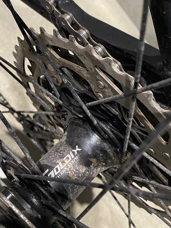 SCOTT 29” MTB Hardtail