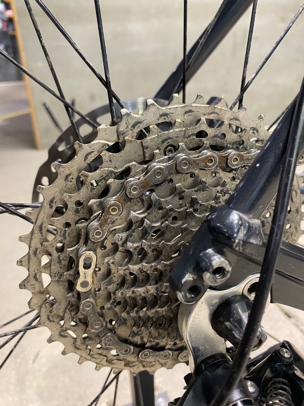 SCOTT 29” MTB Hardtail