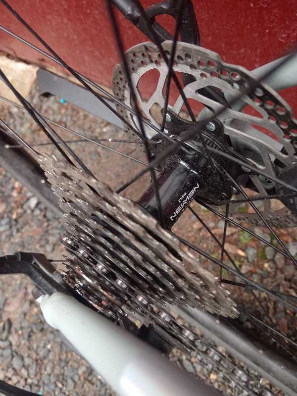 Cube nuroad, race FE 2025