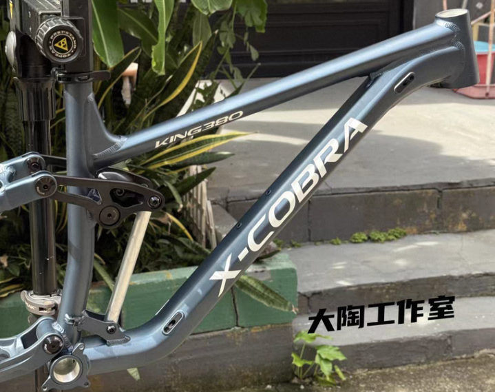 Рама двухподвес X Cobra King 380