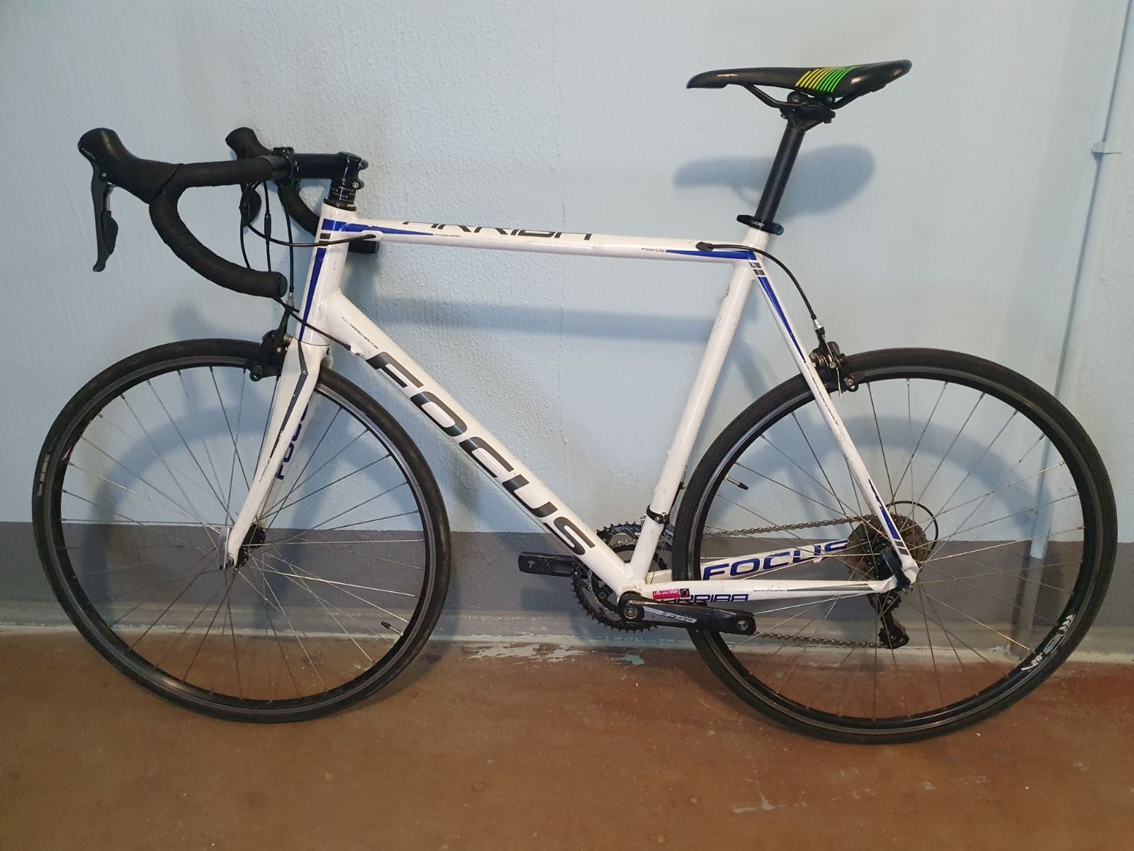 Шоссе на раме FOCUS Arriba (XL)