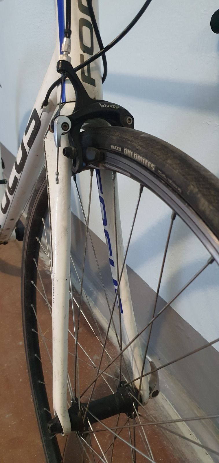 Шоссе на раме FOCUS Arriba (XL)