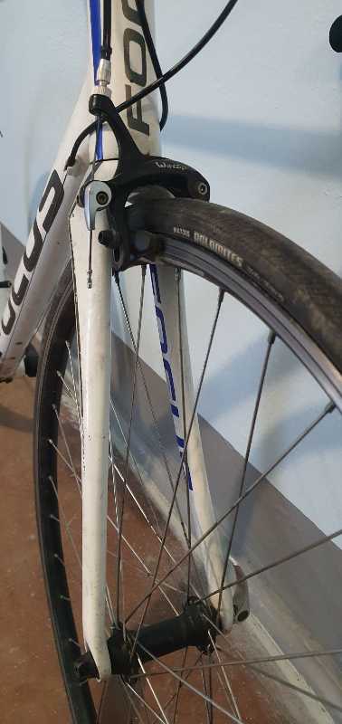 Шоссе на раме FOCUS Arriba (XL)