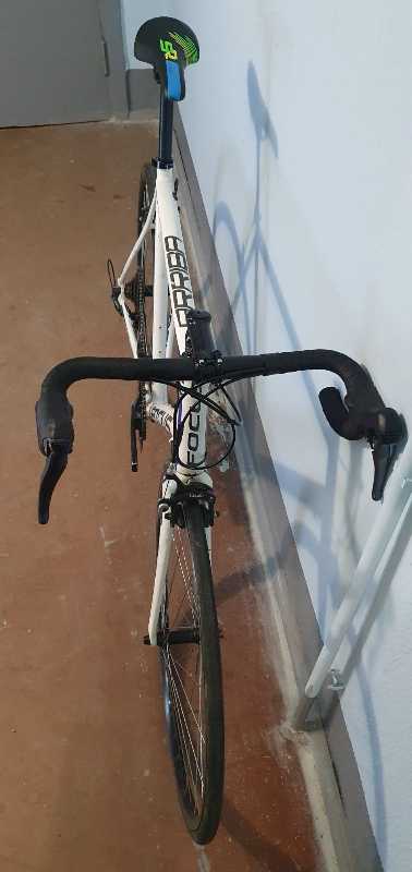 Шоссе на раме FOCUS Arriba (XL)