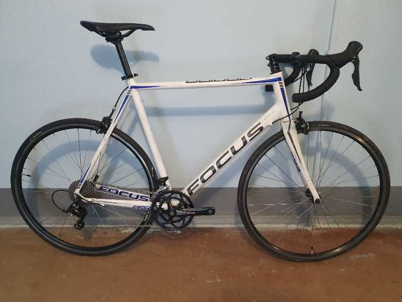 Шоссе на раме FOCUS Arriba (XL)