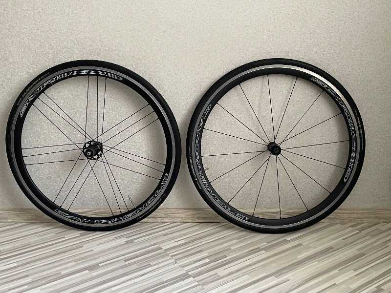 Вилсет compagnolo