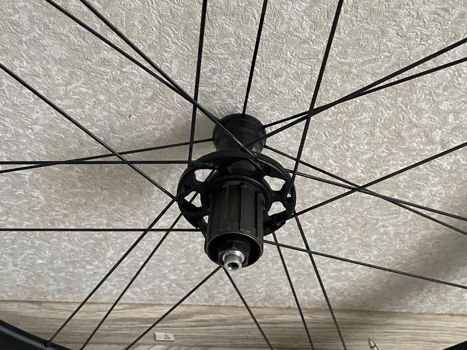 Вилсет compagnolo