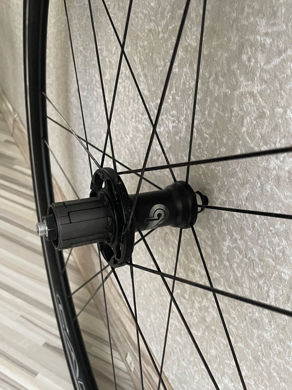 Вилсет compagnolo