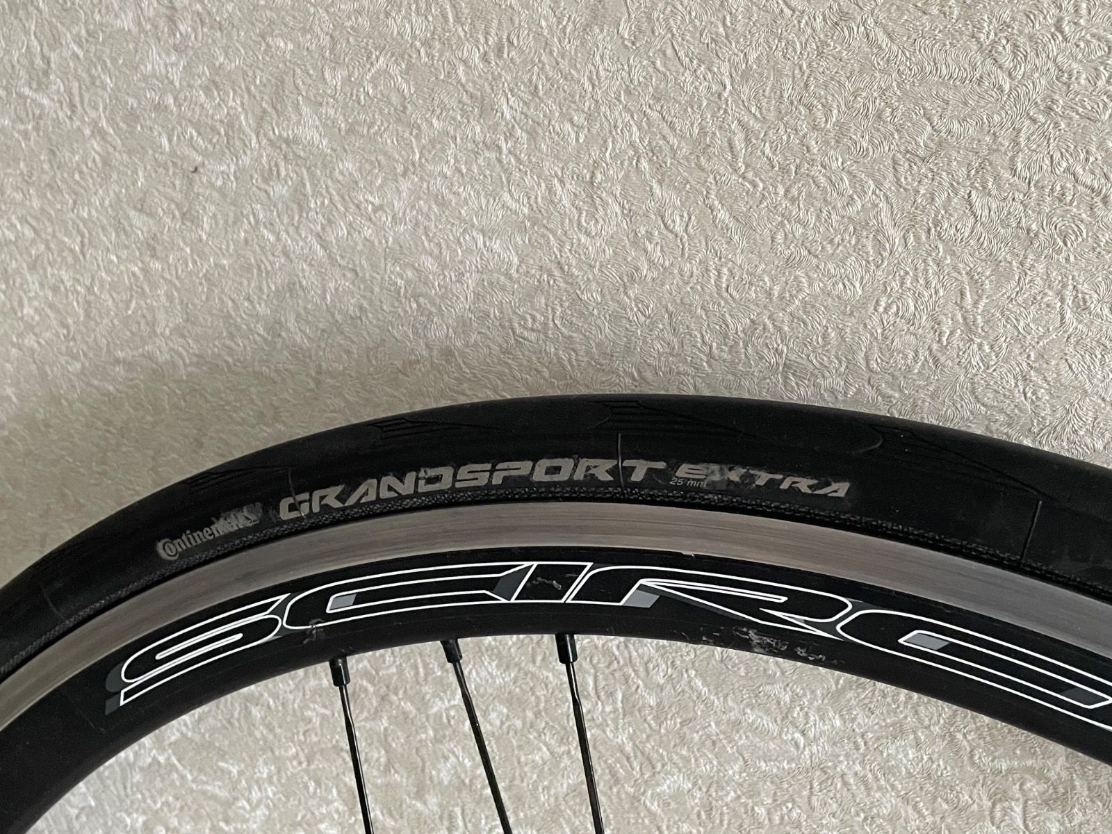 Вилсет compagnolo