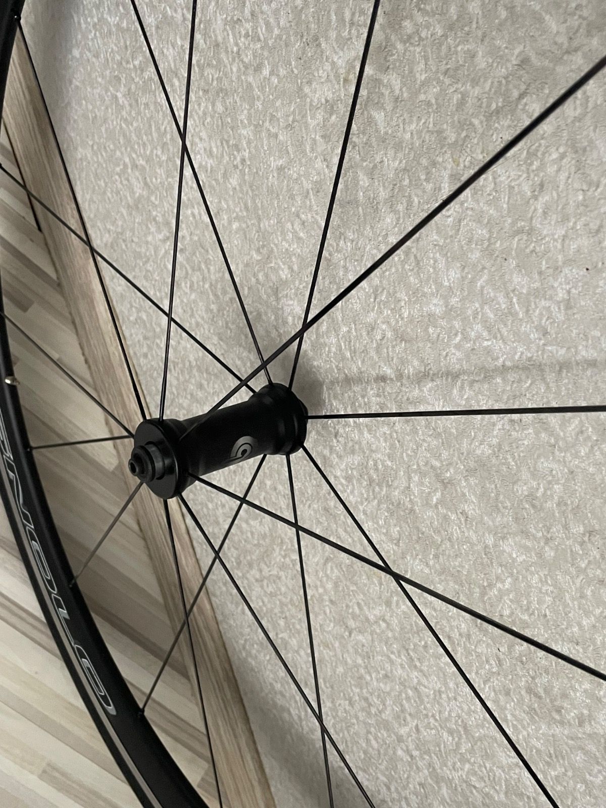 Вилсет compagnolo