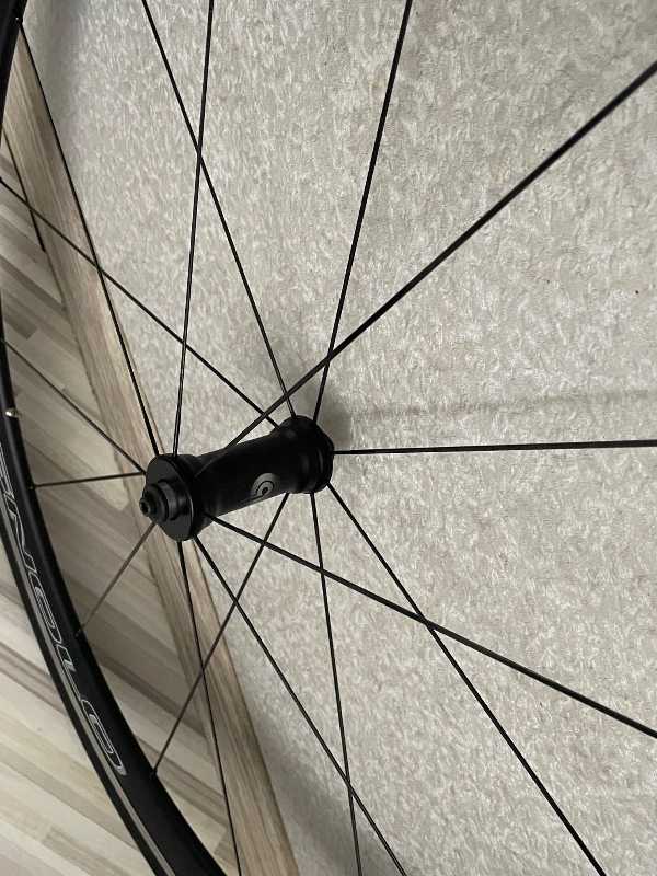 Вилсет compagnolo